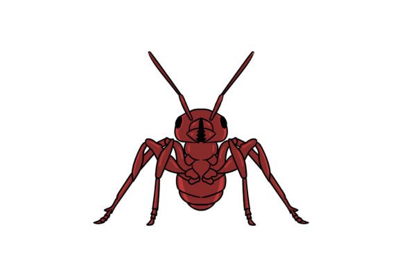 Ant Clipart Illustration Graphics