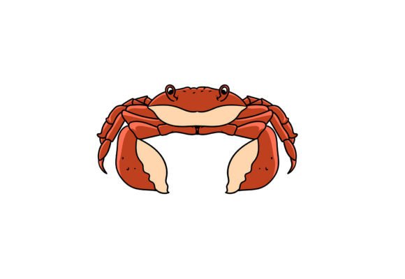 Crab Illustration Art Graphics and Illustrations
