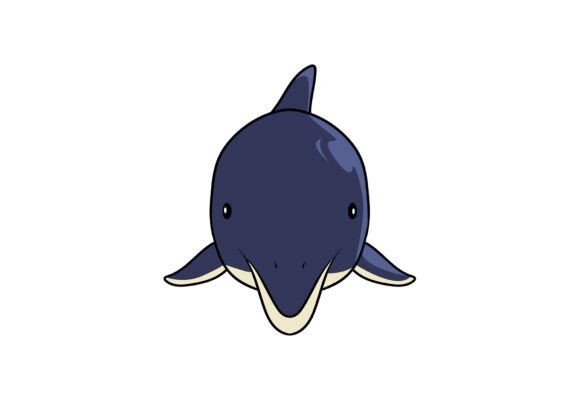 Dolphin Zoo Animal Artwork Graphics