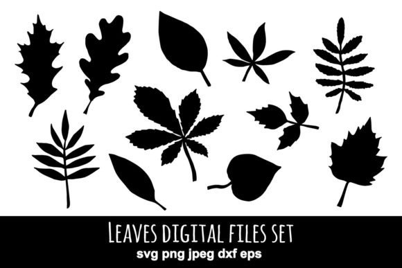 Tree Leaves Png Jpeg Eps Set: Graphics for Local Business Branding