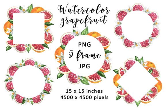 Watercolor Frame Citrus Flowers Leaf PNG Graphics